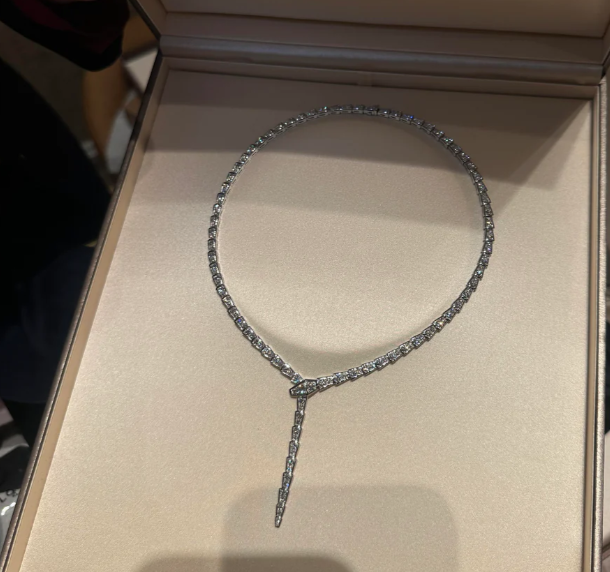 [⭐Shinejoy]NEW！サーペント ダイヤモンド ネックレス